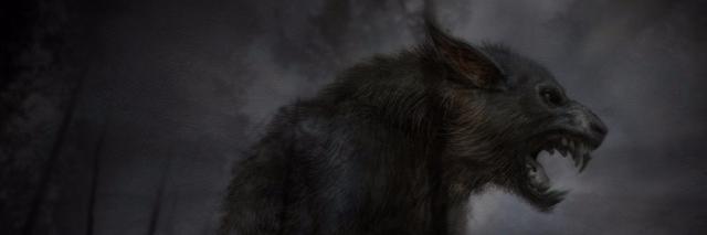 Drew Ingle banner