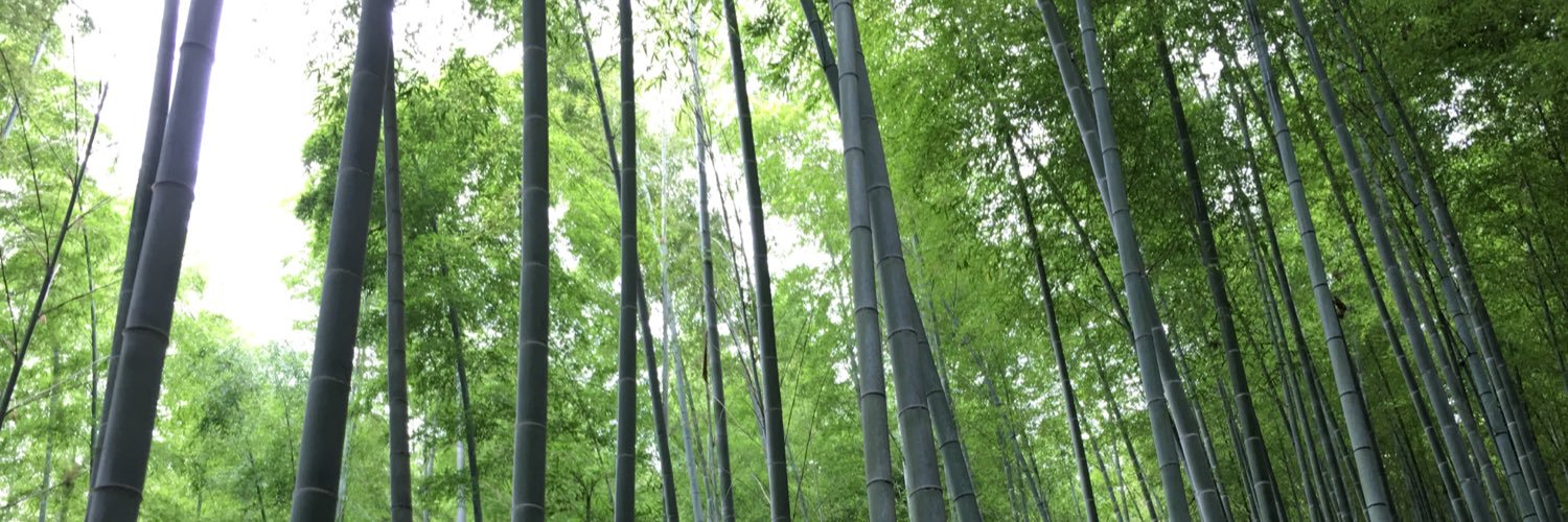 DaShengL's profile banner image