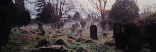 Lela_Elizabeth's profile banner image
