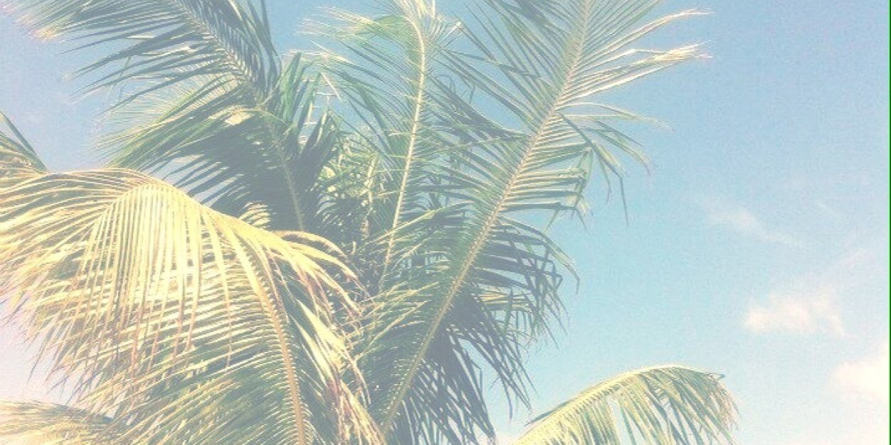 UnionJDublin's profile banner image