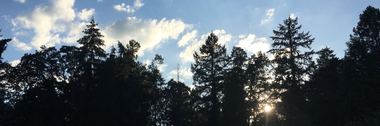 ColeFree12's profile banner image