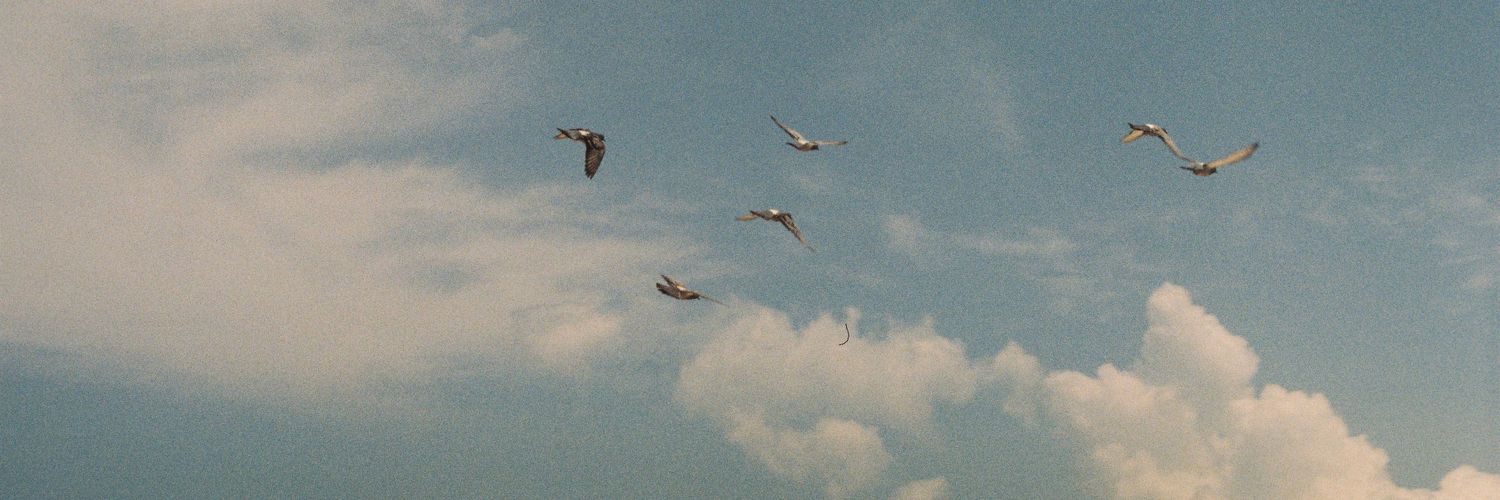 daryldy's profile banner image
