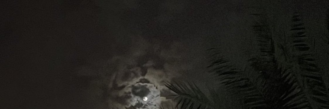 xasxvv's profile banner image