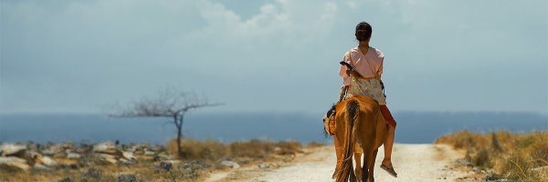 Marshatimothy2 Profile Banner