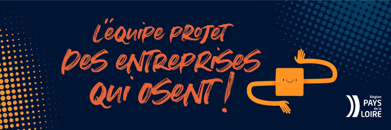 RDI Pays de la Loire banner