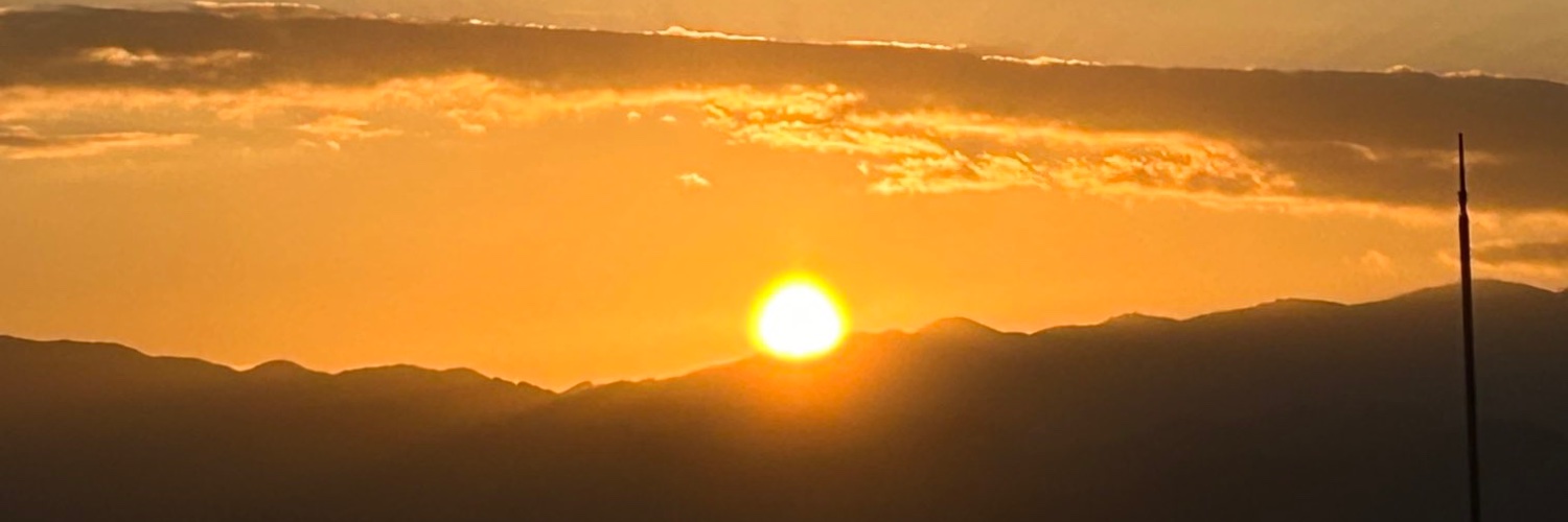 streamlily's profile banner image