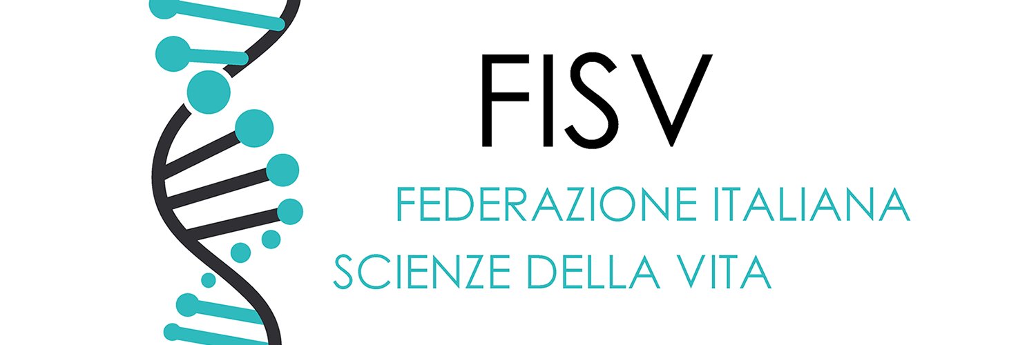 FISV's banner