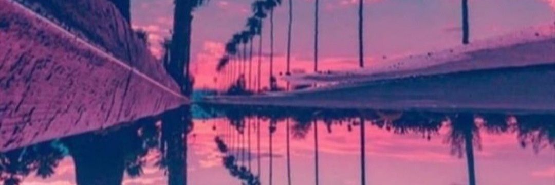 carol2791's profile banner image