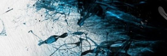 Mickey Vargas banner