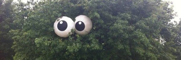 koiscasadevante Profile Banner