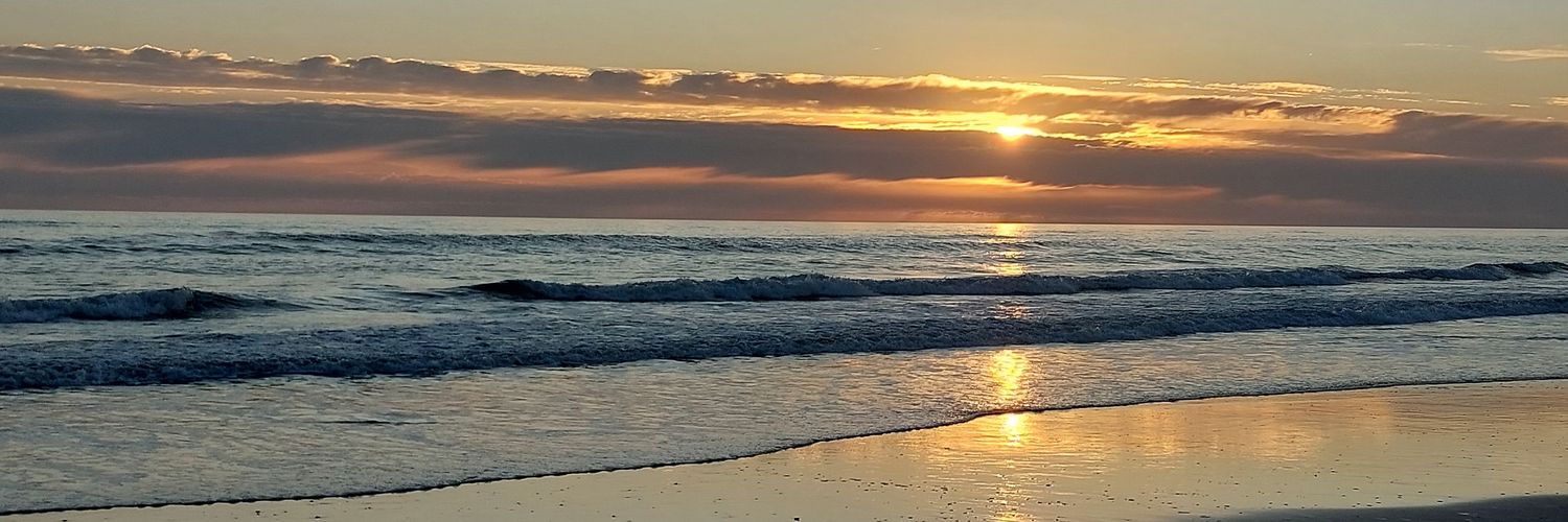 ainhoadeltoro's profile banner image