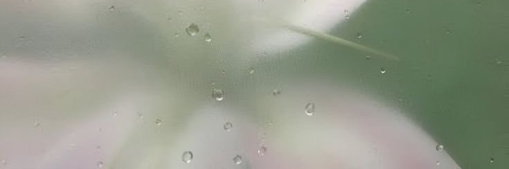 citruesy's profile banner image
