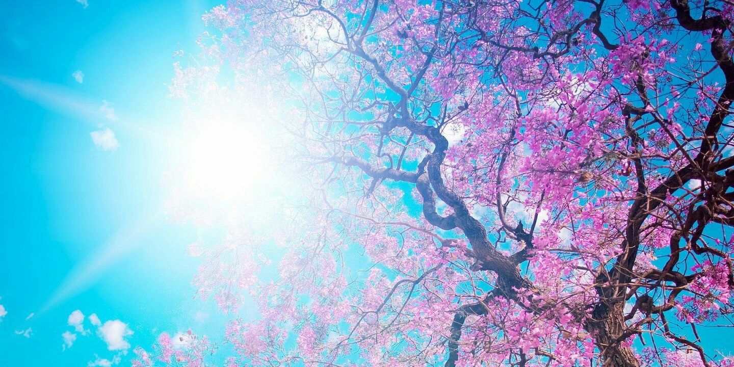 mystery_c's profile banner image
