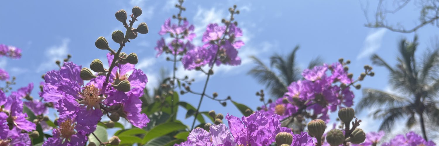jayeon_kun's profile banner image