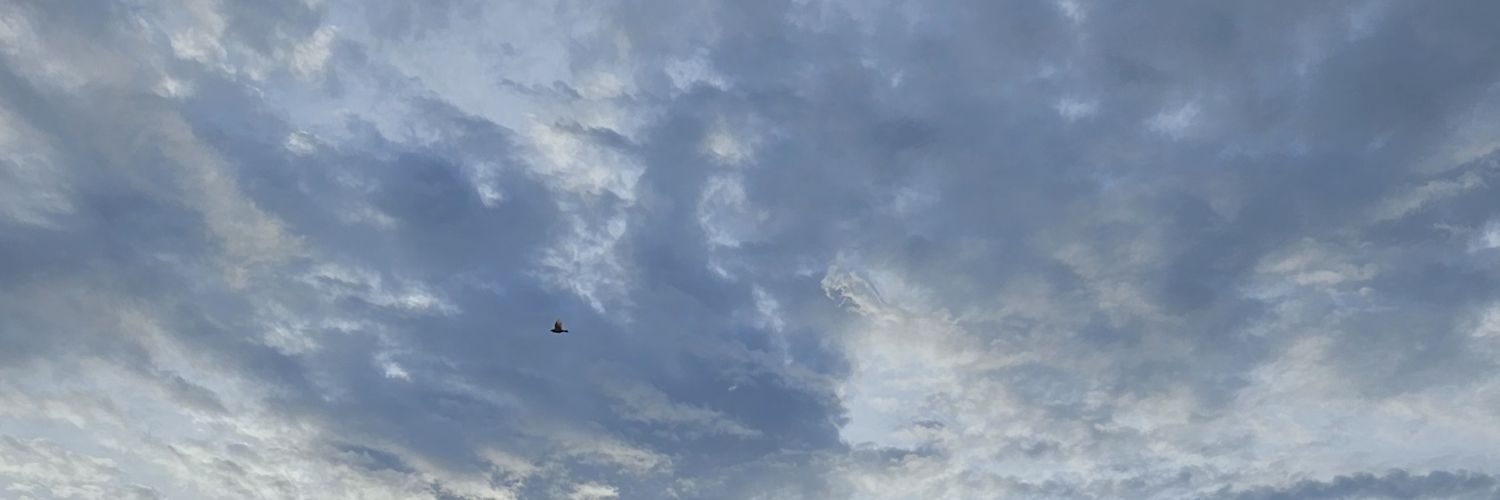 KNRRRRRR banner