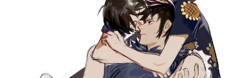hico's banner