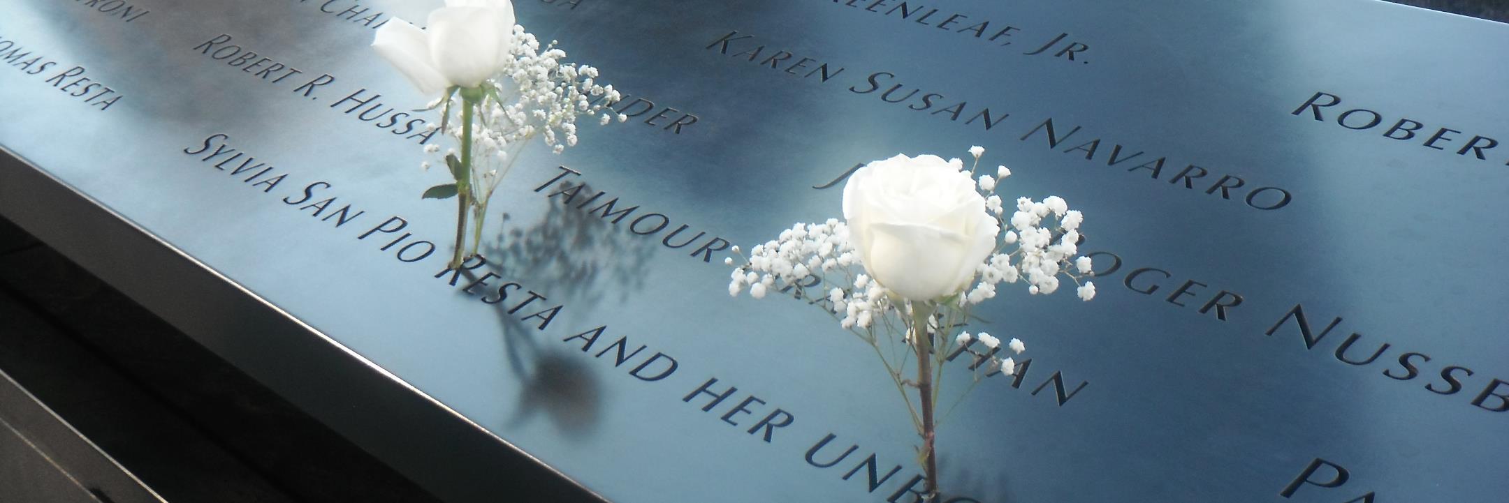 COLIN RENSHAW banner