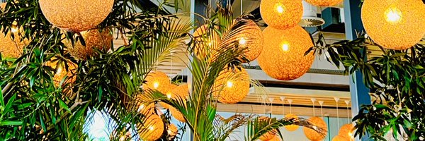 SlindyD Profile Banner