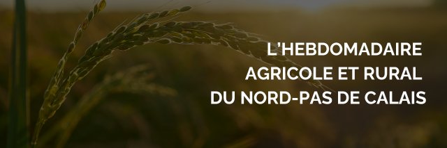 Terres et Territoires banner