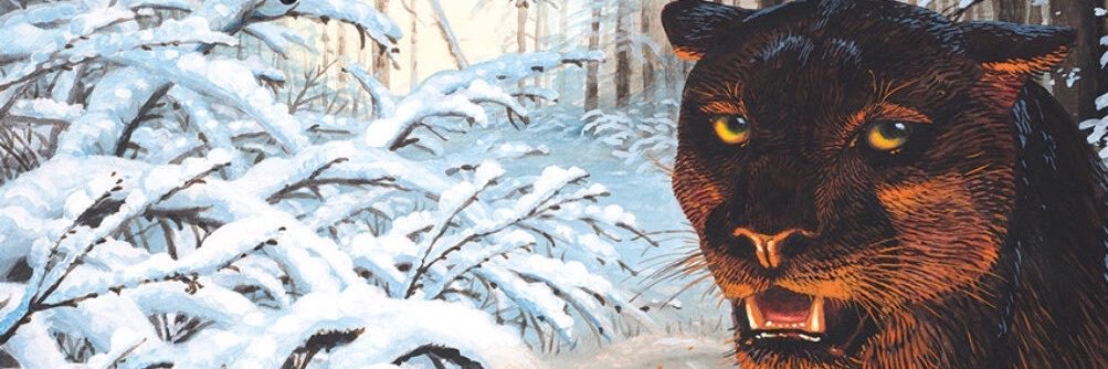 FOOLISHPOKER's profile banner image