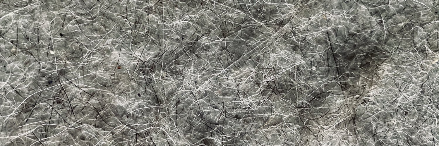 Léon J. Traazil banner