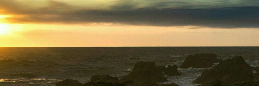 ѵíϲƘվ ՏԵɾɑԵմՏ banner