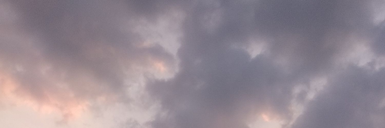 Kingslayer banner