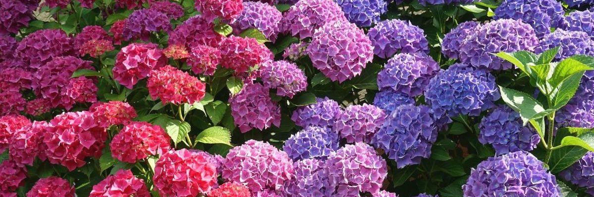 i get wicked cold, bros. mad sleepy. banner