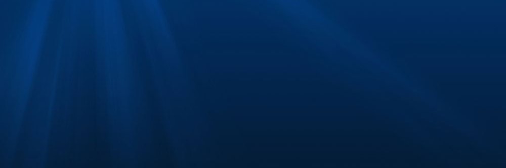 CryptoMad banner