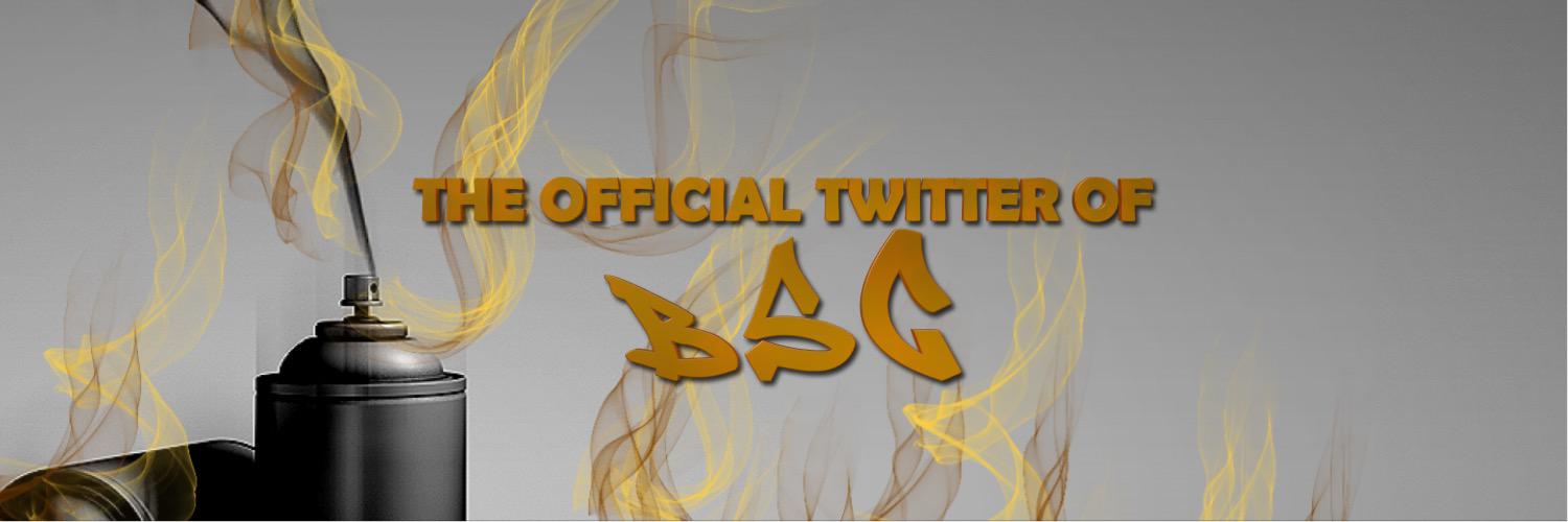 BSG banner