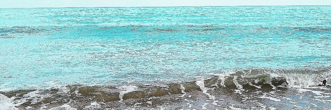 nunucas's profile banner image