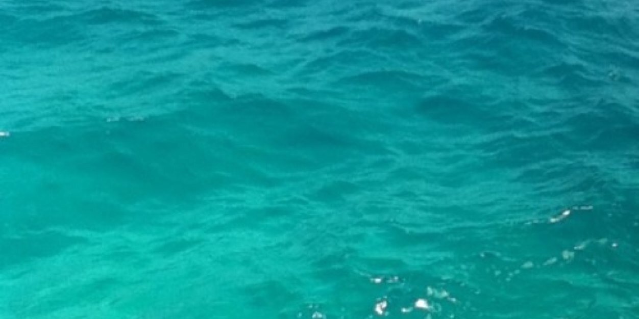 lewy_ramirez's profile banner image