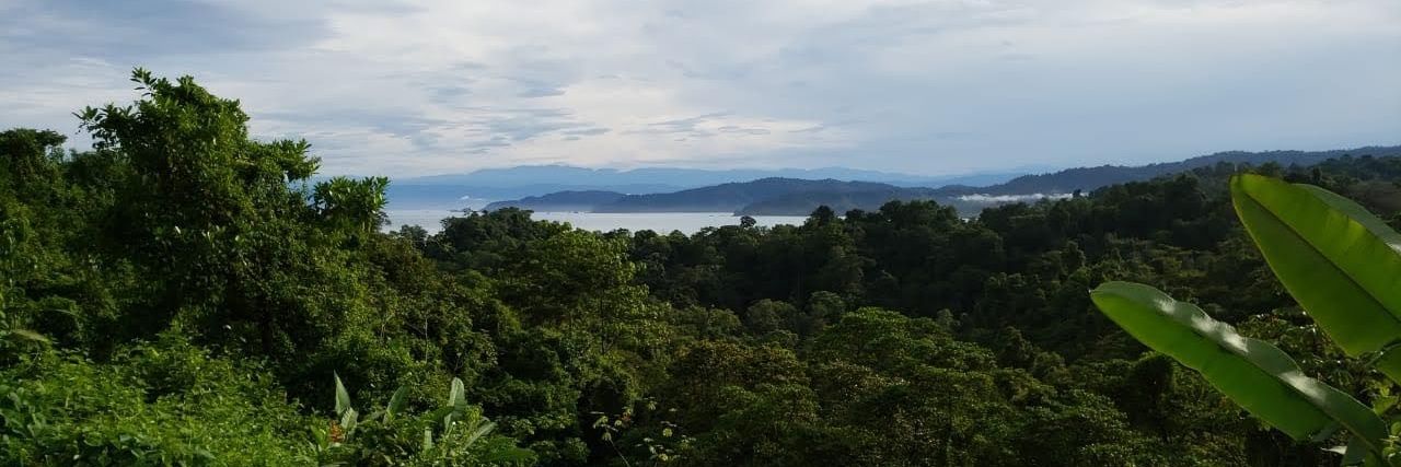 Teresa 🔻☮ banner