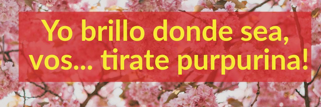 PittyFlu's profile banner image