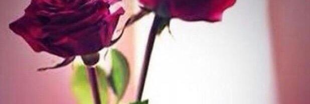 googo0408's profile banner image