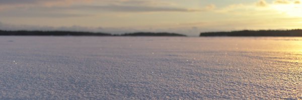 LariKoponen Profile Banner