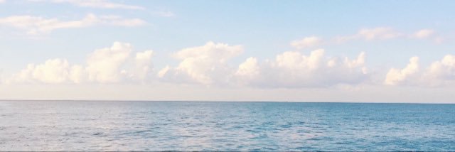 _Mitch231's profile banner image