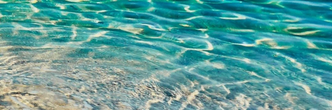 Adriana S. Ortega banner