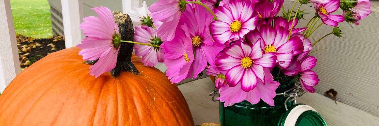 Ann Margaret Lyons banner