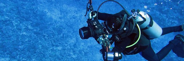 SergioFloeter Profile Banner