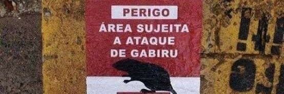 gabiru93's profile banner image