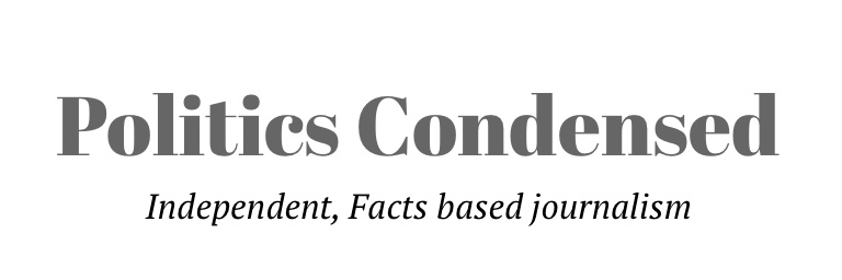 Politics Condensed banner