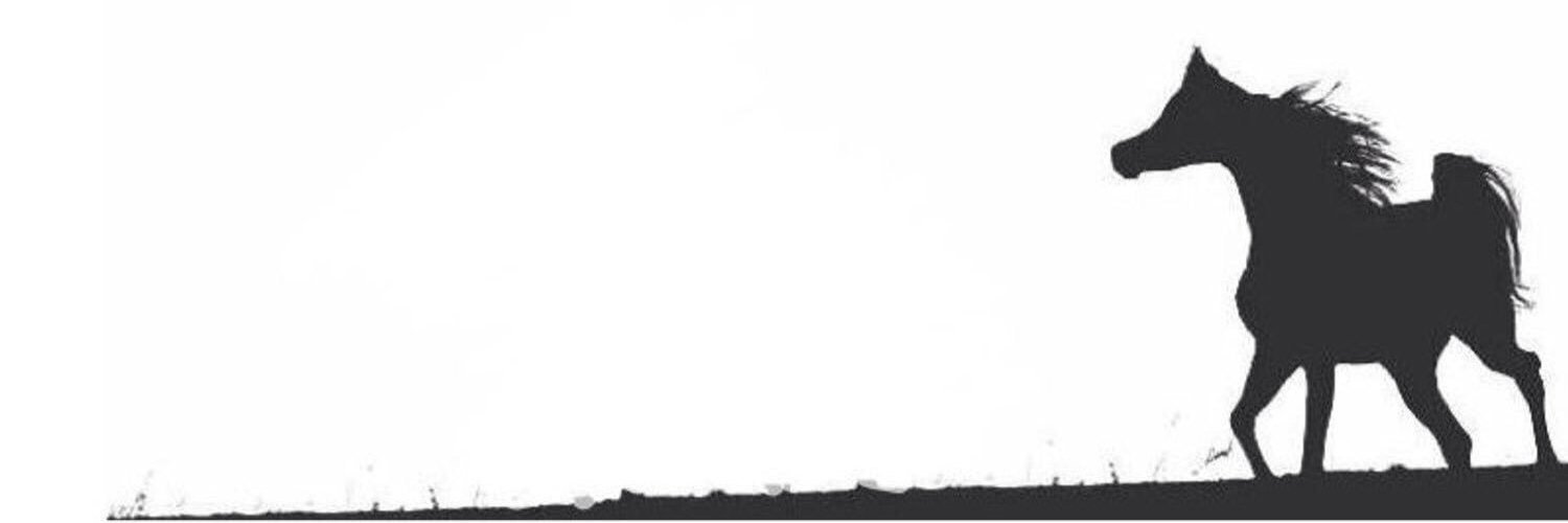 abofhad347's profile banner image