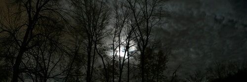 haunted banner