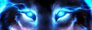 madmax37402485's profile banner image