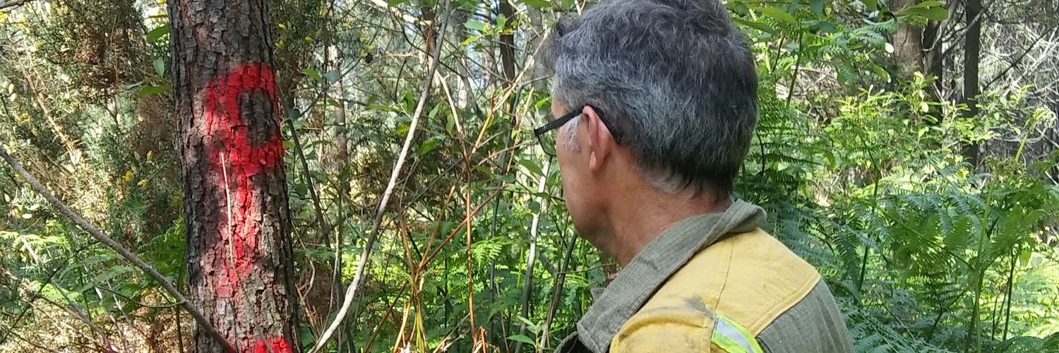 abelperezoreiro's profile banner image