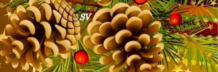 Kiuz Chacón Cárdenas banner