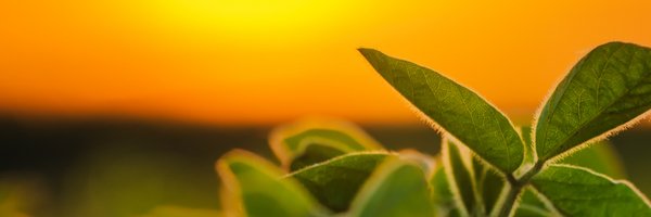 GrainPhD Profile Banner