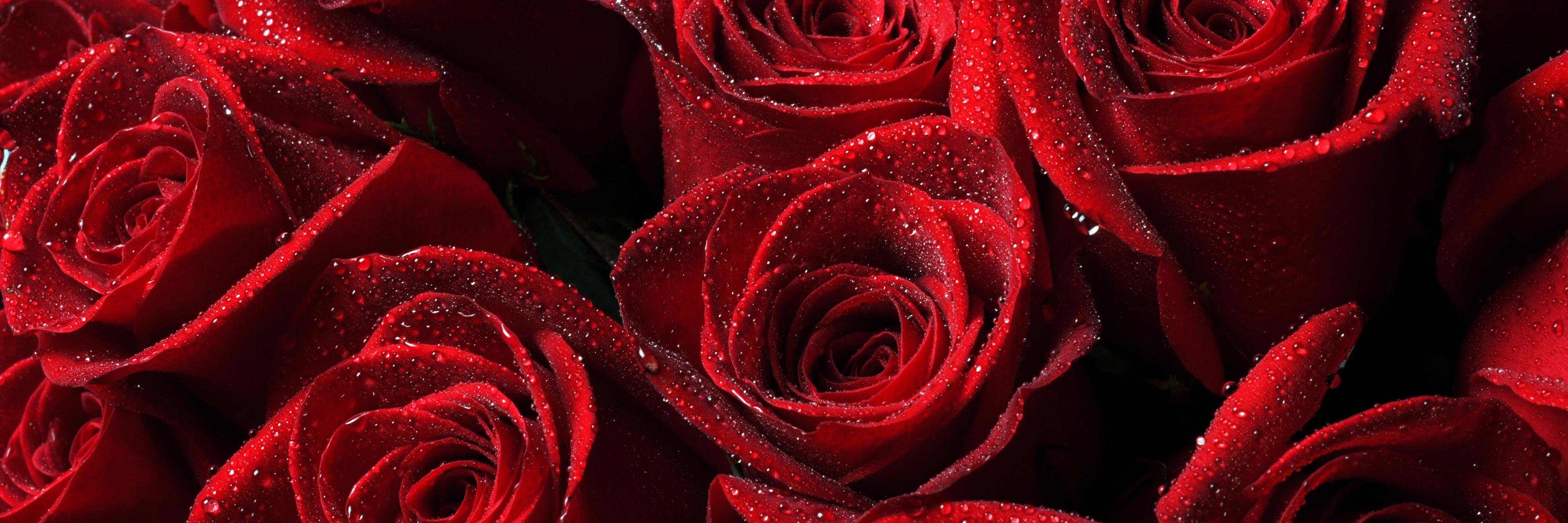 Layssam_'s profile banner image