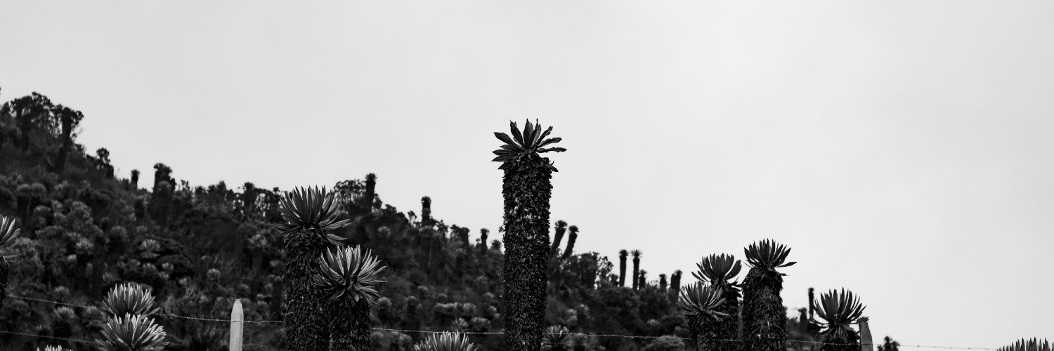 cosmefulannitto's profile banner image